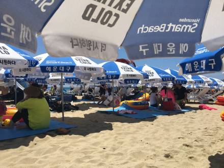 busanumbrellas.jpeg