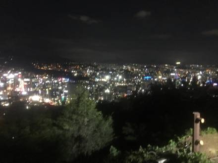 namsanview.jpeg